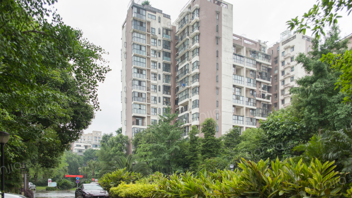 棠湖泊林镇外景图