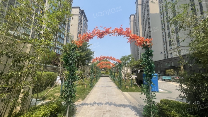 银盛泰博观星海外景图