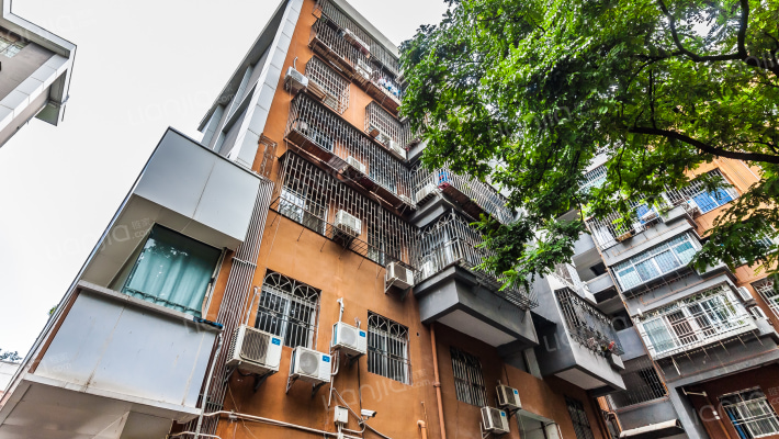 区委综合楼外景图