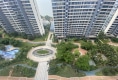 保利中央海岸67