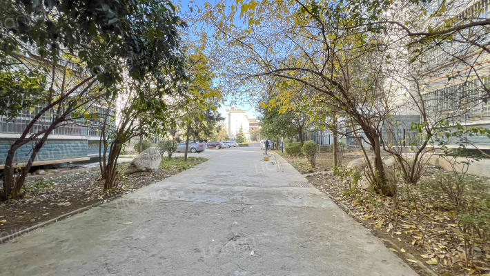 南山汤院外景图