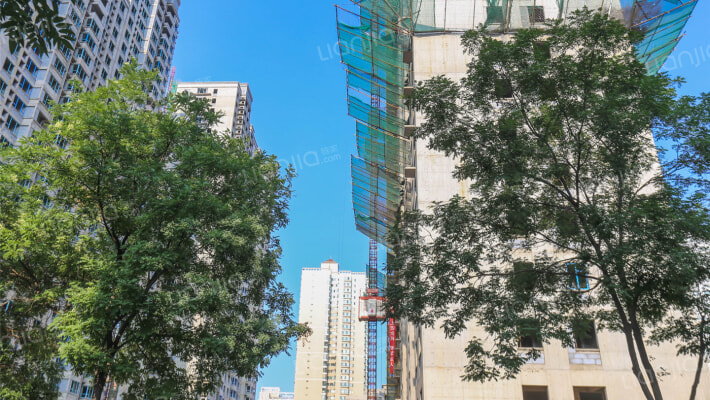 中正亲贤们外景图