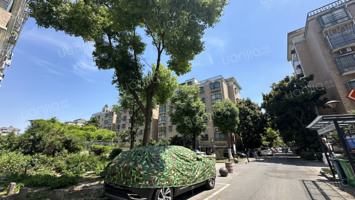 金地盛大花园外景图