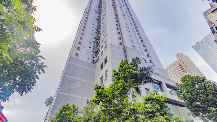 花开富贵广场b座外景图