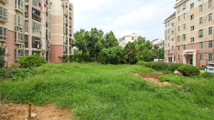 方兴桃园外景图