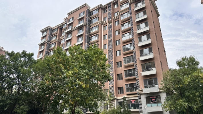 黄金山水郡三区外景图