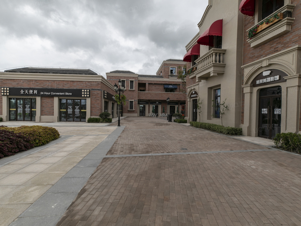 崇明岛大爱城相册