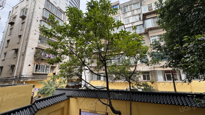 三合营9号外景图