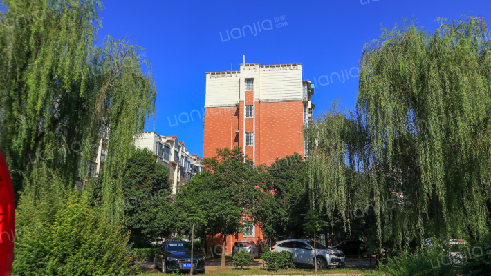 月季新城外景图