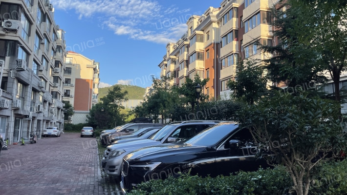 适园雅居外景图