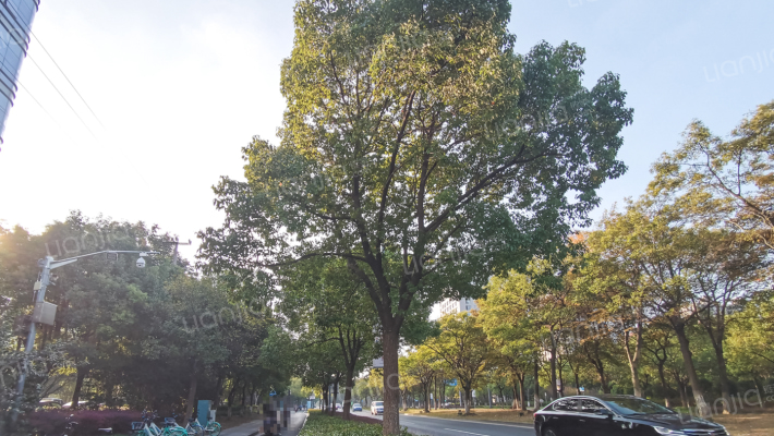 金元大厦外景图