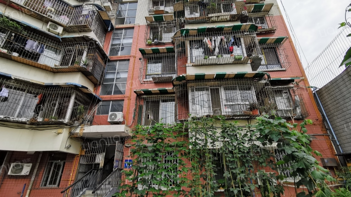 来凤路117号外景图