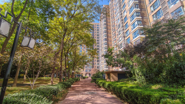 合生国际花园外景图