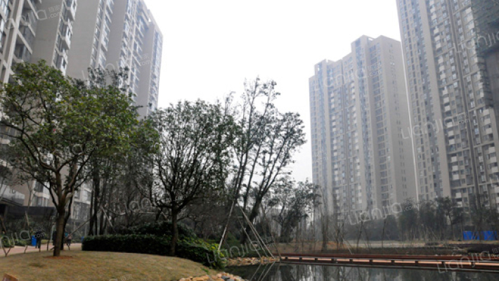 联诚国际城外景图