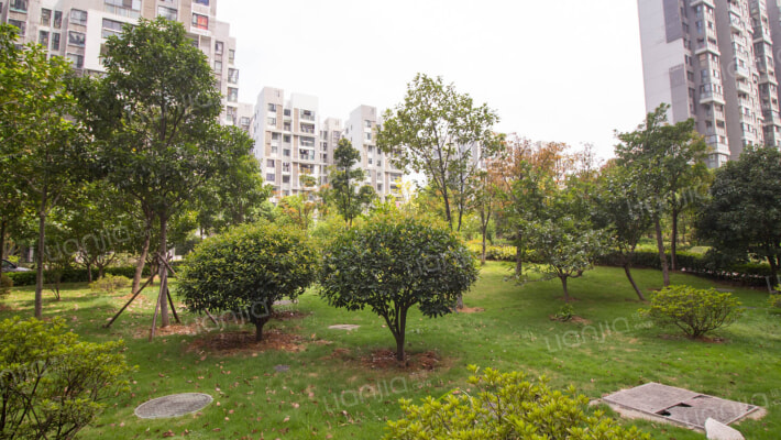 中建康城东区外景图