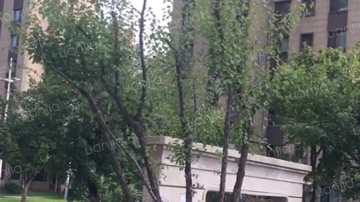 碧桂园银河城星荟外景图