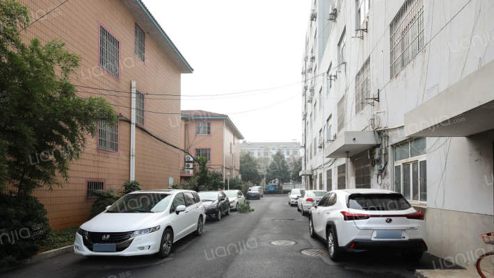 五云绿岛外景图