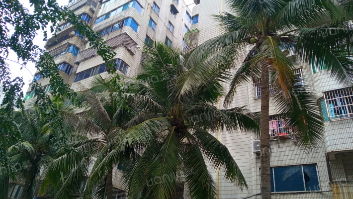 新安大厦外景图