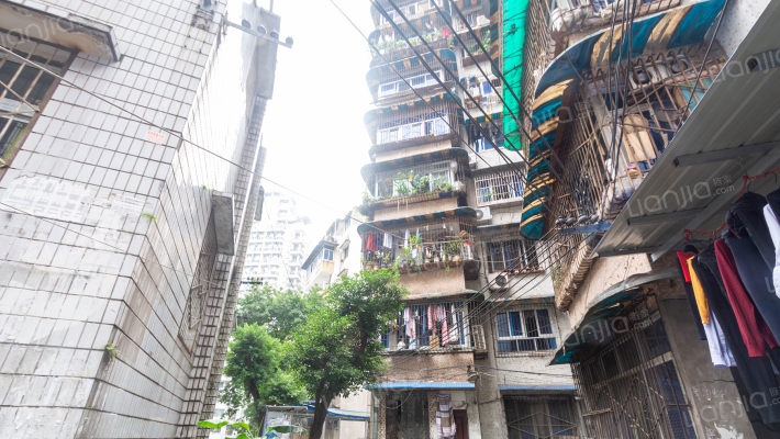 北苑楼小区外景图