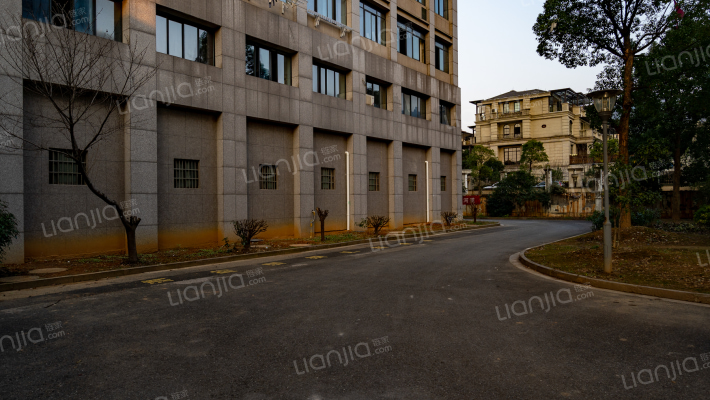 神马大厦外景图