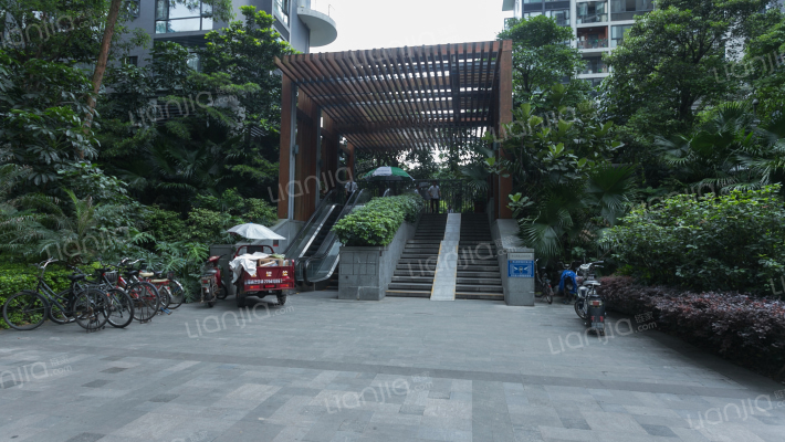 岸芷汀兰外景图