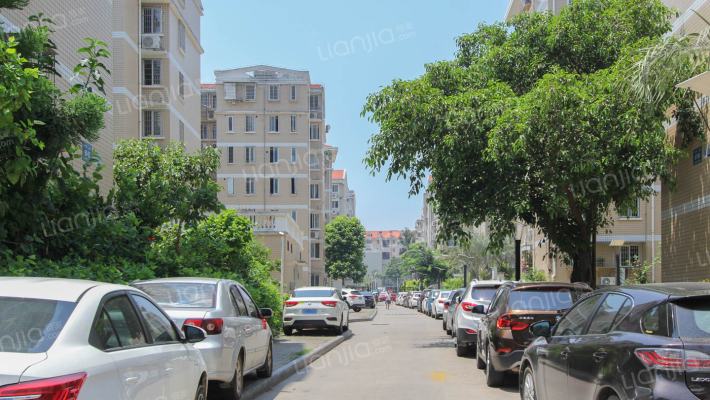 岭兜社区外景图