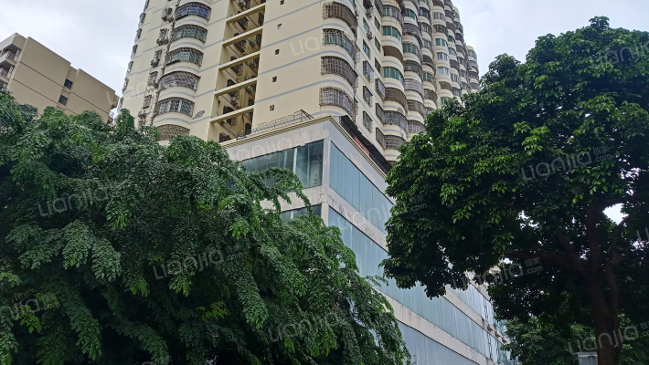 凤翔大厦外景图