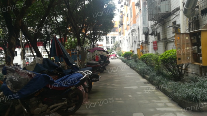 天正鼎盛海棠外景图