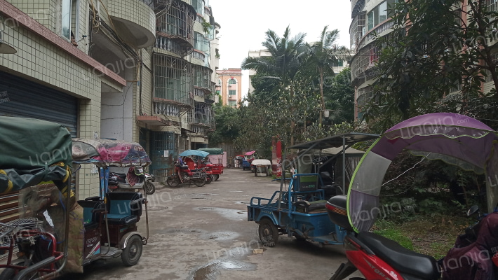 益星花园C区外景图