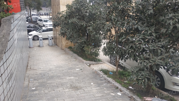 丽江花园外景图