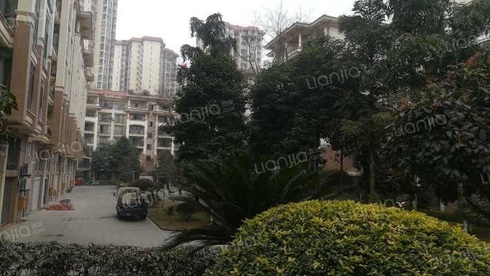 恒荣半岛东苑东舍外景图