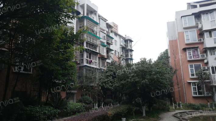 世纪绿洲外景图