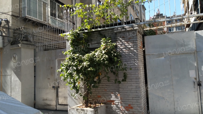 市乡镇局宿舍外景图