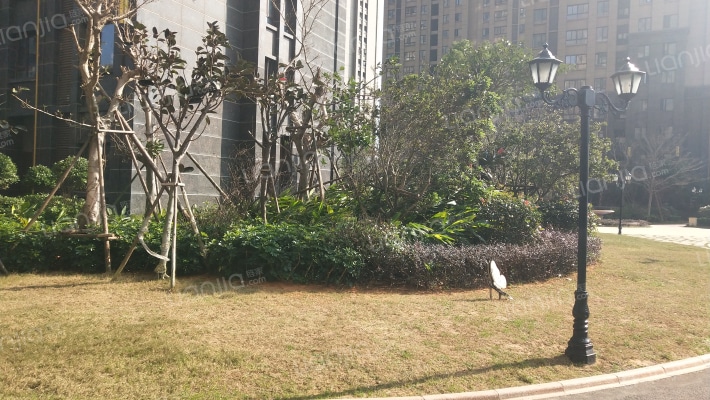 星海湾1号B区外景图