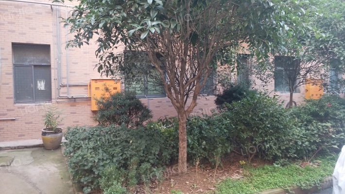 丽都华府外景图