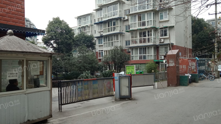 缤纷四季外景图