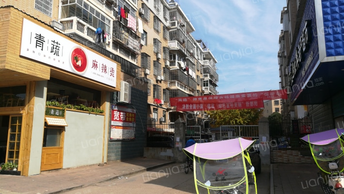 白天鹅花园外景图