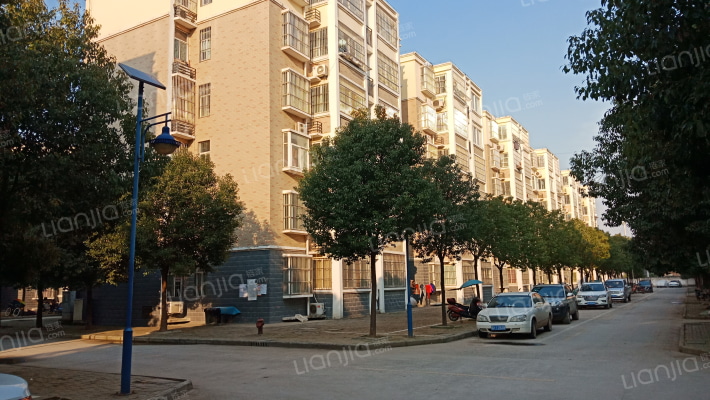 阜南县廉租房杨庄花园外景图