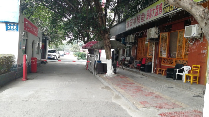 翠竹苑C区外景图