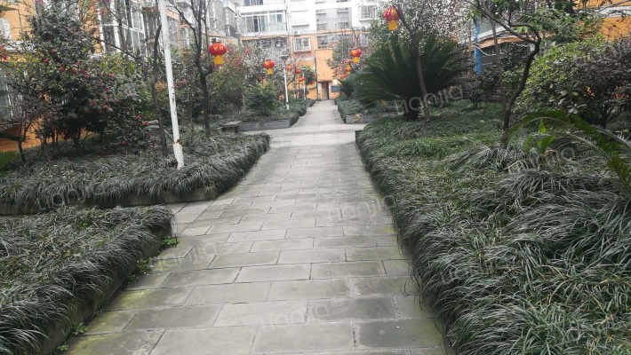 海棠新都外景图