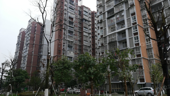 金牛东苑外景图