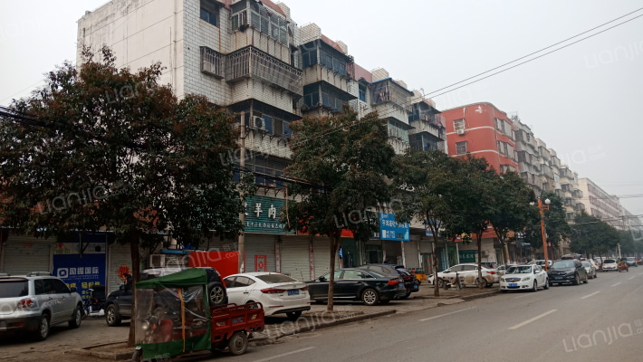 临泉县土地管理局家属院外景图