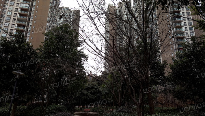 恒安世纪花城外景图