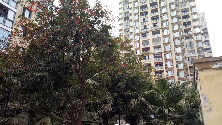 南城壹品园外景图