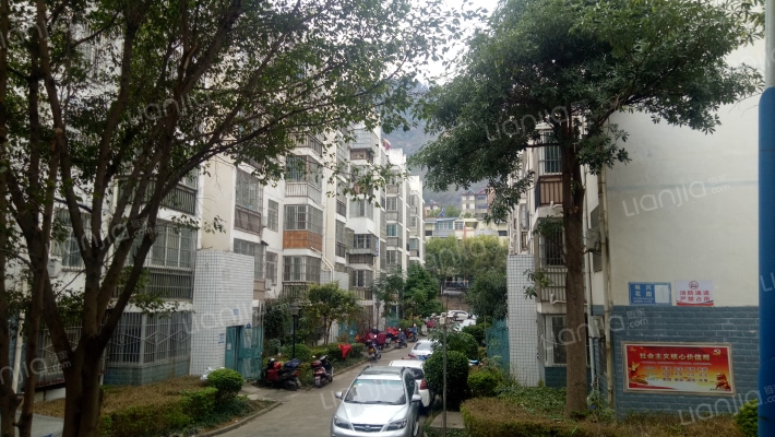 林兴花园外景图