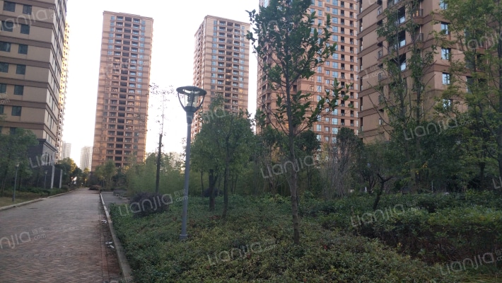 中豪锦苑花园外景图