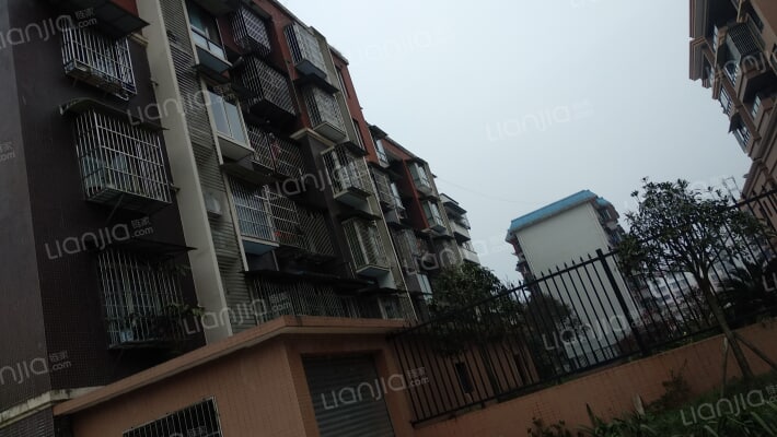 君临江岸外景图