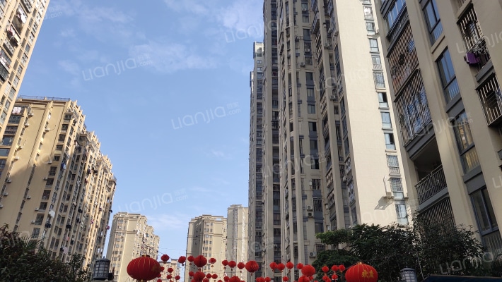 龙宾新界外景图