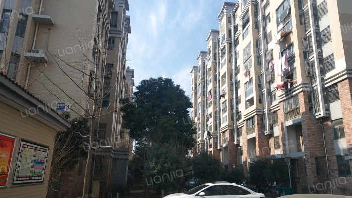 临湖丽苑外景图