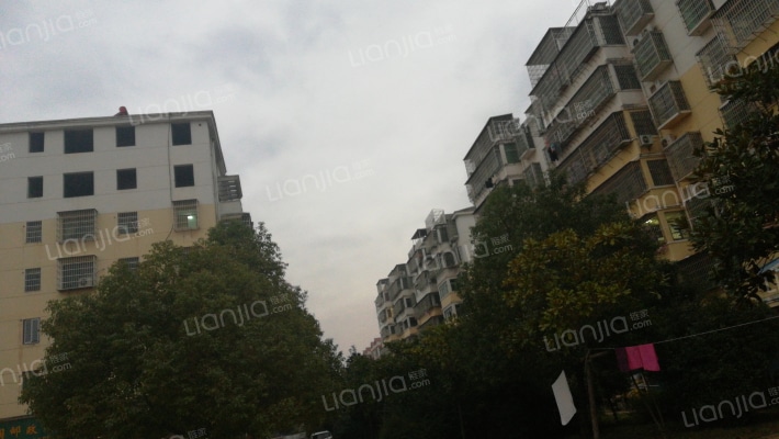 金山角小区外景图